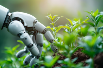 The environmental impact of AI on the environment represented on a picture by the hand of a white robot touching a green plant sprout